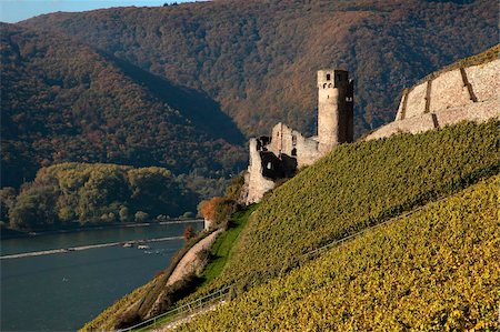 ehrenfels castle - Ehrenfels Castle near Rudesheim, Rhine Valley, Hesse, Germany, Europe Foto de stock - Con derechos protegidos, Código: 841-05959909