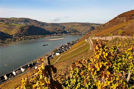 rhin - Lorchhausen, Rhine Valley, Hesse, Germany, Europe Foto de stock - Con derechos protegidos, Código: 841-05959912