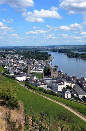 rhin - Rudesheim, Rhine Valley, Hesse, Germany, Europe Foto de stock - Con derechos protegidos, Código: 841-05959922