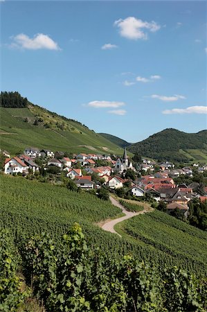 europe farm village - Village of Ockfen with vineyards, Saar Valley, Rhineland-Palatinate, Germany, Europe Stock Photo - Rights-Managed, Code: 841-05959954