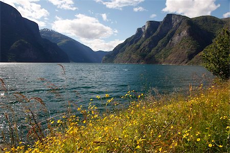 Aurlandsfjorden near Aurlandsvangen, Sogn og Fjordane, Norway, Scandinavia, Europe Foto de stock - Direito Controlado, Número: 841-05960166