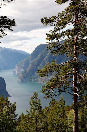 Aurlandsfjorden near Aurlandsvangen, Sogn og Fjordane, Norway, Scandinavia, Europe Foto de stock - Direito Controlado, Número: 841-05960167