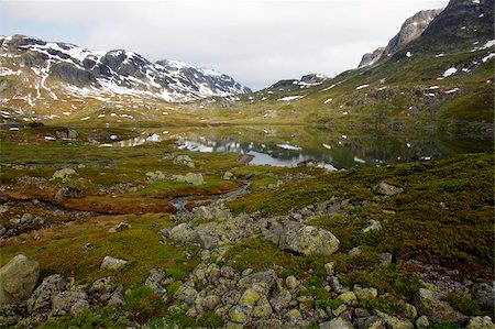 Hardangervidda, Telemark, Norway, Scandinavia, Europe Fotografie stock - Rights-Managed, Codice: 841-05960171