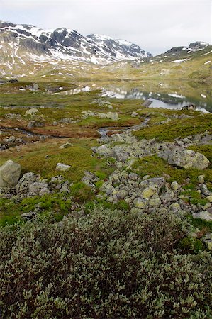 Hardangervidda, Telemark, Norway, Scandinavia, Europe Stock Photo - Rights-Managed, Code: 841-05960172