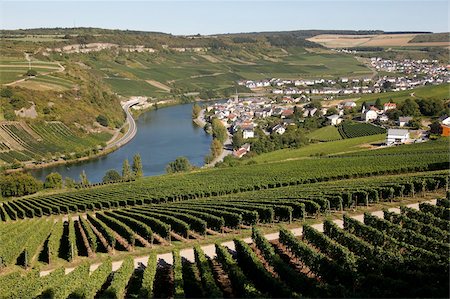 Vineyards and village of Machtum, Mosel Valley, Luxembourg, Europe Foto de stock - Con derechos protegidos, Código: 841-05960200