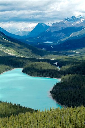 Peyto Lake, Banff National Park, UNESCO World Heritage Site, Alberta, Rocky Mountains, Canada, North America Foto de stock - Con derechos protegidos, Código: 841-05960412