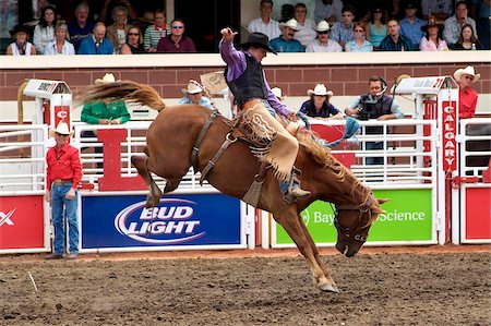 schau - Calgary Stampede, Stampede Park, Calgary, Alberta, Canada, North America Foto de stock - Con derechos protegidos, Código: 841-05960424