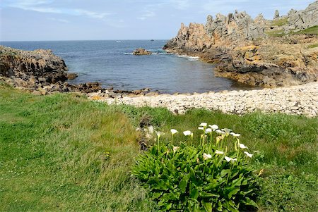 Ushant island, Brittany, France, Europe Foto de stock - Con derechos protegidos, Código: 841-05960445