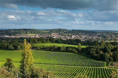 View of Dorking across Denbies Vineyard, Surrey Hills, Surrey, England, United Kingdom, Europe Stock Photo - Rights-Managed, Code: 841-05960556