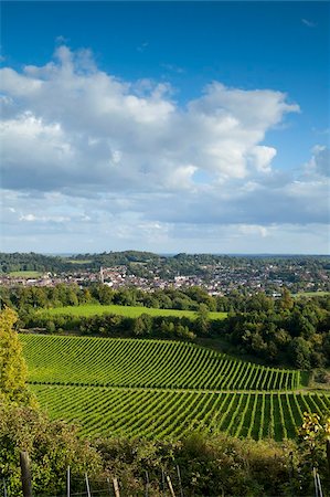 View of Dorking across Denbies Vineyard, Surrey Hills, Surrey, England, United Kingdom, Europe Stock Photo - Rights-Managed, Code: 841-05960558