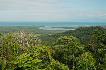 simsearch:841-05960866,k - View of Mount Alexandra and Coral Sea, Daintree National Park, UNESCO World Heritage Site, Queensland, Australia, Pacific Foto de stock - Direito Controlado, Número: 841-05960839