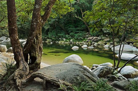 queensland - Mossman Gorge, Parc National de Daintree, Site du patrimoine mondial de l'UNESCO, Queensland, Australie, Pacifique Photographie de stock - Rights-Managed, Code: 841-05960849