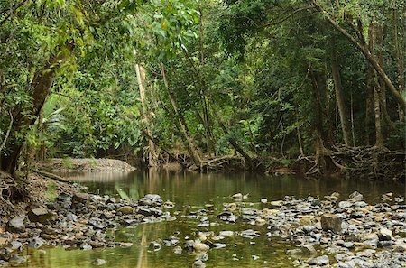estanque - Emmagen Creek crossing, Daintree National Park, UNESCO World Heritage Site, Queensland, Australia, Pacific Foto de stock - Con derechos protegidos, Código: 841-05960840
