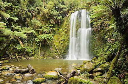 simsearch:841-05960840,k - Beauchamp Falls, Parc National de Great Otway, Victoria, Australie, Pacifique Photographie de stock - Rights-Managed, Code: 841-05960888