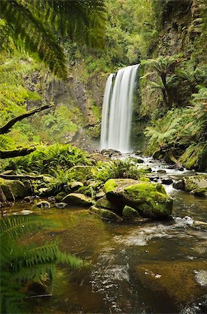 Hopetoun Falls, Great Otway National Park, Victoria, Australia, Pacific Foto de stock - Direito Controlado, Número: 841-05960889