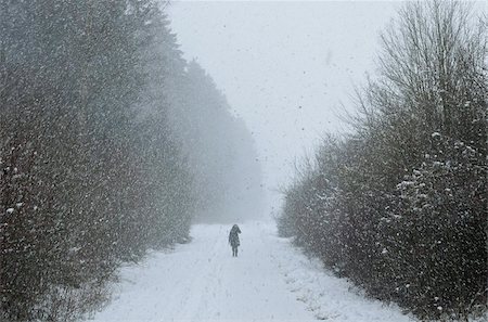 snow blizzard - Winter landscape, near Villingen-Schwenningen, Black Forest, Baden-Wurttemberg, Germany, Europe Stock Photo - Rights-Managed, Code: 841-05960894