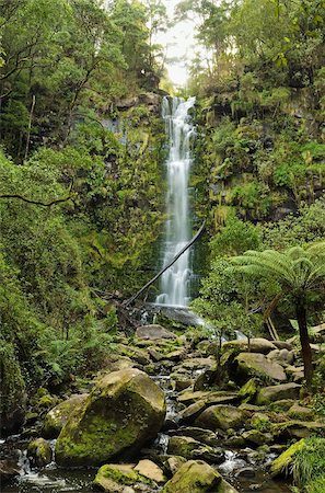 Erskine Falls, Great Otway National Park, Victoria, Australia, Pacific Foto de stock - Direito Controlado, Número: 841-05960890