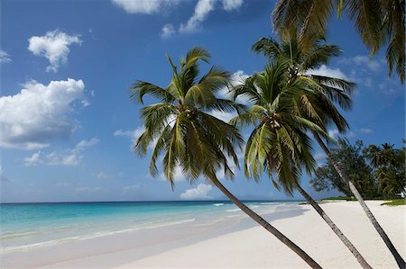 Sable blanc beach, Bridgetown, Barbade, Antilles, Caraïbes, Amérique centrale Photographie de stock - Rights-Managed, Code: 841-05961536