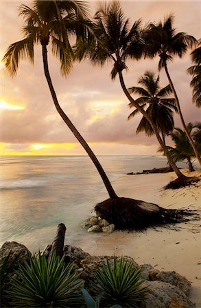 rocks on beach caribbean - Tropical sunset, Bridgetown, Barbados, West Indies, Caribbean, Central America Stock Photo - Rights-Managed, Code: 841-05961530