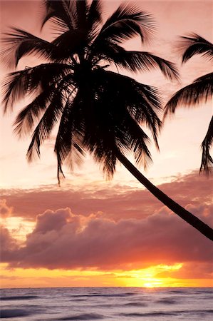 sunset on beach - Tropical sunset, Bridgetown, Barbados, West Indies, Caribbean, Central America Stock Photo - Rights-Managed, Code: 841-05961531