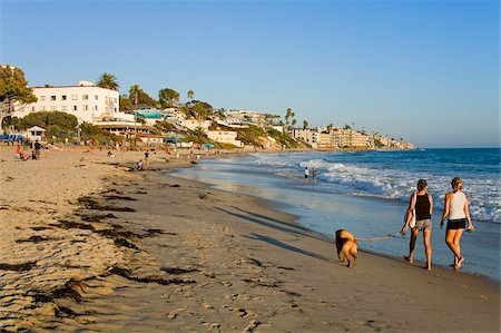 dogs on vacation - Laguna Beach, Orange County, California, United States of America, North America Stock Photo - Rights-Managed, Code: 841-05961632