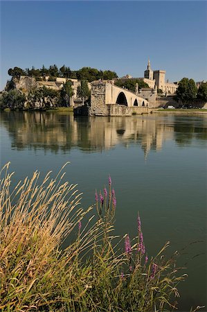 Pont Saint-Benezet and Avignon city viewed from across the River Rhone, Avignon, Provence, France, Europe Foto de stock - Con derechos protegidos, Código: 841-05961854