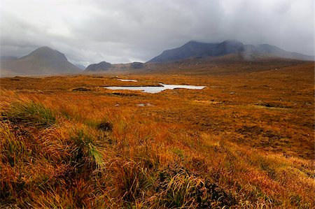 escocés - Desolate moorland near Sligachan, Isle of Skye, Inner Hebrides, Scotland, United Kingdom, Europe Foto de stock - Con derechos protegidos, Código: 841-05961887