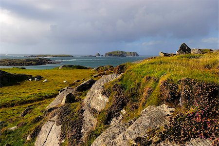 Rugged landscape, Isle of Lewis, Western Isles, Scotland, United Kingdom, Europe Stock Photo - Rights-Managed, Code: 841-05961880
