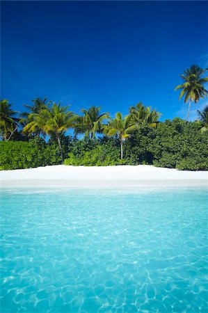 simsearch:841-05961495,k - Tropical beach, Maldives, Indian Ocean, Asia Stock Photo - Rights-Managed, Code: 841-05961979