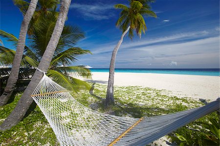 Hammock and tropical beach, Maldives, Indian Ocean, Asia Stock Photo - Rights-Managed, Code: 841-05961987