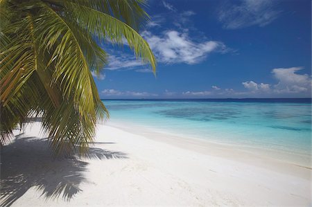 Empty beach on tropical island, Maldives, Indian Ocean, Asia Foto de stock - Con derechos protegidos, Código: 841-05961988