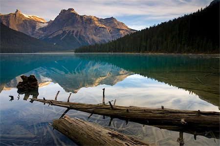 simsearch:841-05962132,k - Reflections at Emerald Lake, Yoho National Park, UNESCO World Heritage Site, British Columbia, Rocky Mountains, Canada, North America Foto de stock - Con derechos protegidos, Código: 841-05962129