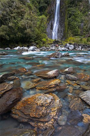 simsearch:841-05962188,k - Thunder Creek Falls, Haast, West Coast, South Island, New Zealand, Pacific Foto de stock - Con derechos protegidos, Código: 841-05962175