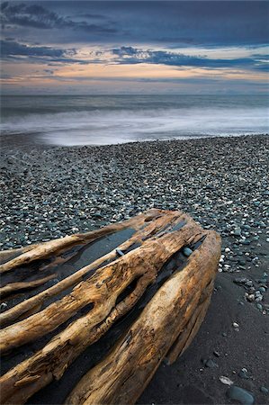 simsearch:841-05962172,k - Huge driftwood on Gillespies Beach, West Coast, South Island, New Zealand, Pacific Foto de stock - Con derechos protegidos, Código: 841-05962170