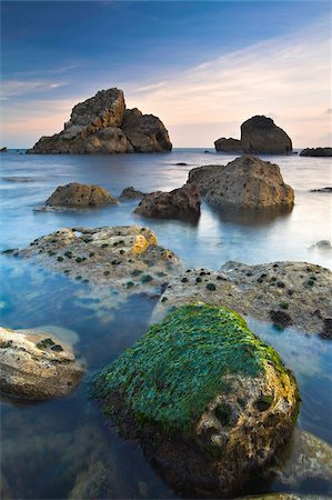 simsearch:841-05962262,k - Rocky ledges and sea stacks of Mupe Rocks on the Jurassic Coast, UNESCO World Heritage Site, Dorset, England, United Kingdom, Europe Foto de stock - Con derechos protegidos, Código: 841-05962218