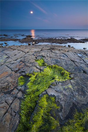 Moon glow over Kimmeridge Bay on the Jurassic Coast, UNESCO World Heritage Site, Dorset, England, United Kingdom, Europe Stock Photo - Rights-Managed, Code: 841-05962259