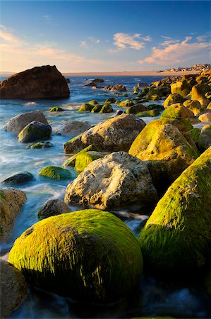 dorset - The rocky shore of West Weares on Portland, looking towards Chesil Beach, Jurassic Coast, UNESCO World Heritage Site, Dorset, England, United Kingdom, Europe Stock Photo - Rights-Managed, Code: 841-05962269