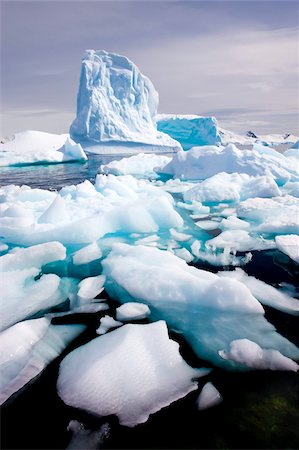 simsearch:841-07080930,k - Icebergs close to shore in Paradise Harbour, Antarctic Peninsula, Antarctica, Polar Regions Stock Photo - Rights-Managed, Code: 841-05962341