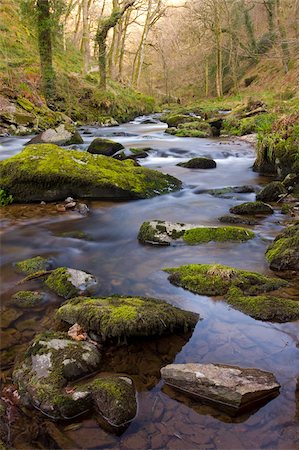 simsearch:841-05962555,k - Rivière Lyn est à Watersmeet, Parc National d'Exmoor, Devon, Angleterre, Royaume-Uni, Europe Photographie de stock - Rights-Managed, Code: 841-05962508