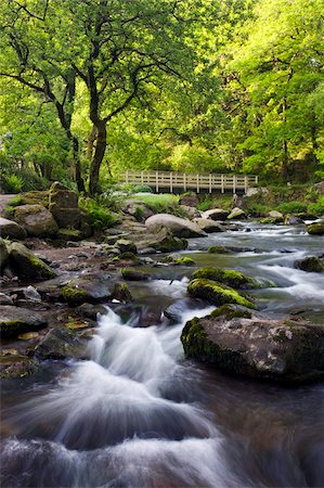exmoor national park - Printemps à Watersmeet dans le Parc National d'Exmoor, Devon, Angleterre, Royaume-Uni, Europe Photographie de stock - Rights-Managed, Code: 841-05962586