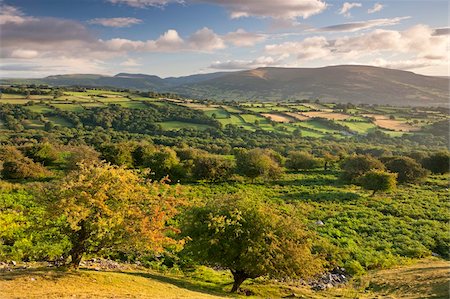 Moorland, rolling fields and Black Mountains of the Brecon Beacons, Powys, Wales, United Kingdom, Europe Foto de stock - Con derechos protegidos, Código: 841-05962589