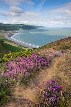 exmoor national park - Coast path on Bossington Hill above Porlock Bay, Exmoor, Somerset, United Kingdom, Europe Foto de stock - Con derechos protegidos, Código: 841-05962593