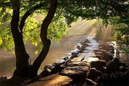 Nebligen Sommermorgen von Tarr Steps Klöppel zu überbrücken, Exmoor-Nationalpark, Somerset, England, Vereinigtes Königreich, Europa Stockbilder - Lizenzpflichtiges, Bildnummer: 841-05962608