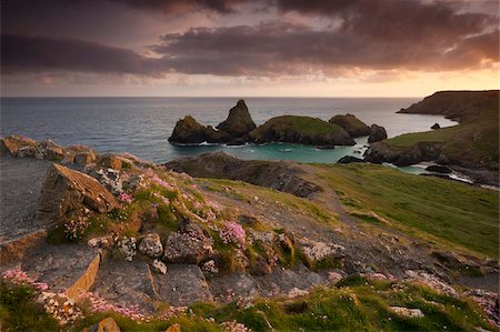 promontoire - Coast path leading down to Kynance Cove, The Lizard, Cornwall, England, United Kingdom, Europe Stock Photo - Rights-Managed, Code: 841-05962613