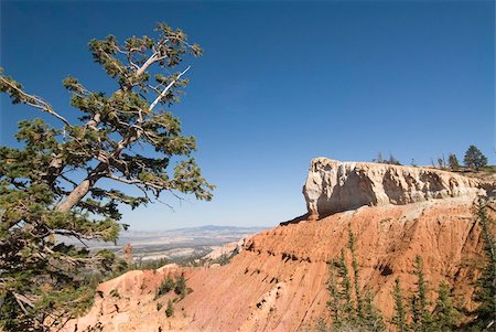 simsearch:841-05962823,k - Black Birch Canyon, Bryce Canyon National Park, Utah, United States of America, North America Foto de stock - Con derechos protegidos, Código: 841-05962799