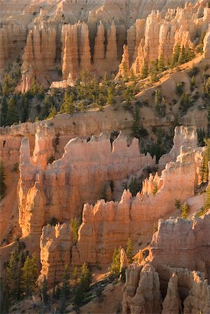 erosion - Fairyland Canyon, Bryce Canyon Nationalpark, Utah, Vereinigte Staaten von Amerika, Nordamerika Stockbilder - Lizenzpflichtiges, Bildnummer: 841-05962806