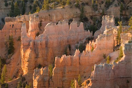 Fairyland Canyon, Bryce Canyon National Park, Utah, United States of America, North America Stock Photo - Rights-Managed, Code: 841-05962807