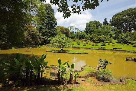 royal botanic gardens - The lake by South Drive in the 60 hectare Royal Botanic Gardens at Peradeniya, near Kandy, Sri Lanka, Asia Foto de stock - Con derechos protegidos, Código: 841-05962830