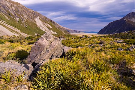 Aoraki Mount Cook National Park, patrimoine mondial UNESCO, île du Sud, Nouvelle-Zélande, Pacifique Photographie de stock - Rights-Managed, Code: 841-06034079