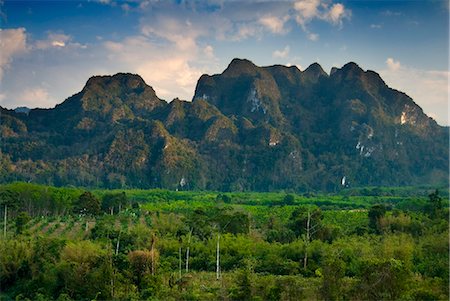 simsearch:841-08542710,k - Khao Sok National Park, Surat Thani Province, Thailand, Southeast Asia, Asia Stock Photo - Rights-Managed, Code: 841-06034122